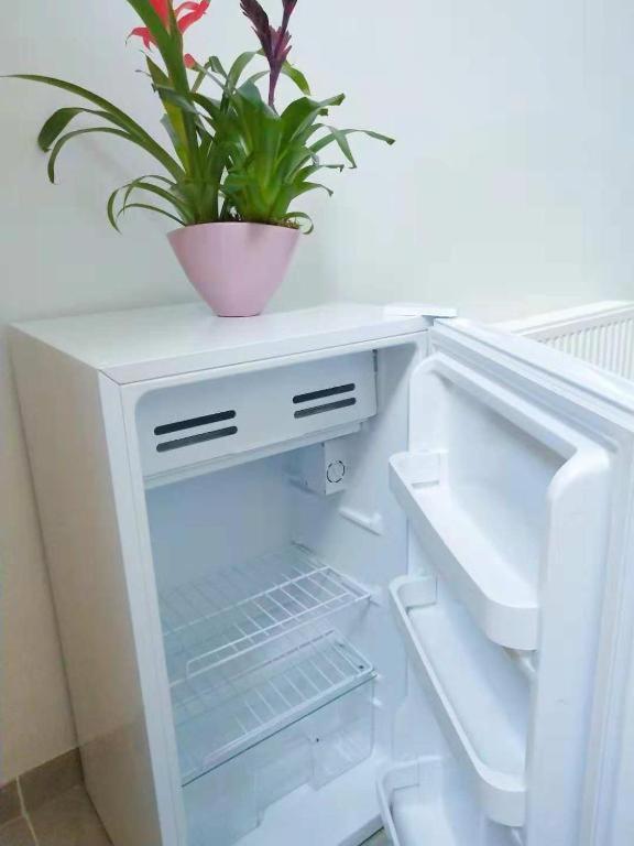 Cozy Rooms With Share The Bathroom And Kitchen Bruxelles Eksteriør billede
