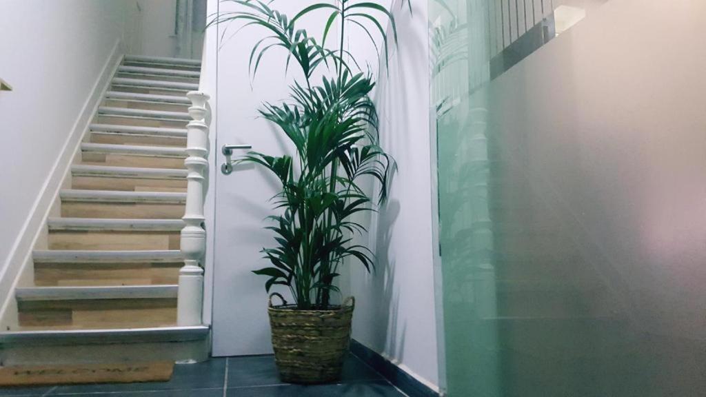Cozy Rooms With Share The Bathroom And Kitchen Bruxelles Eksteriør billede